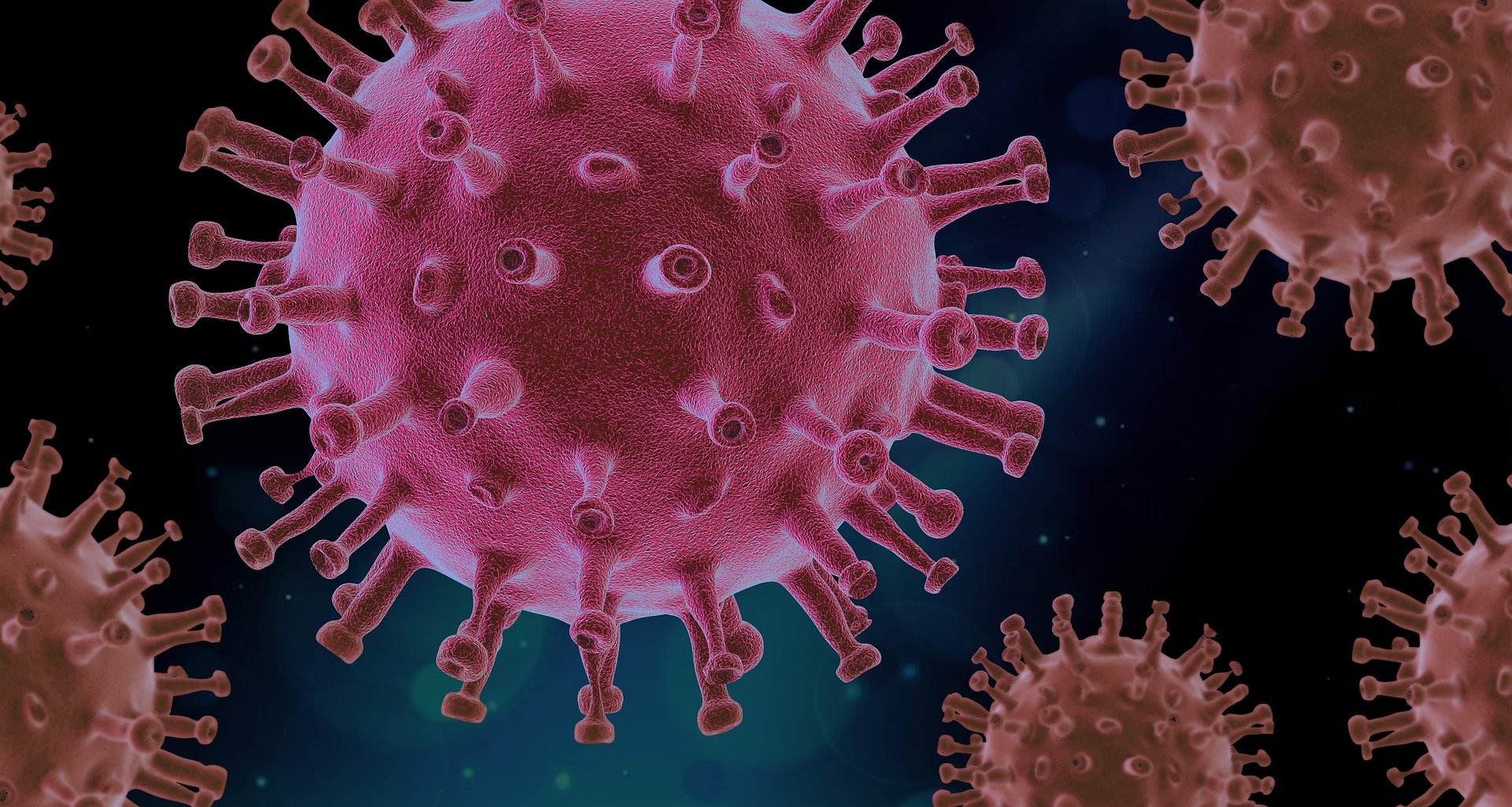 Aktuelle Informationen und Links zum Coronavirus