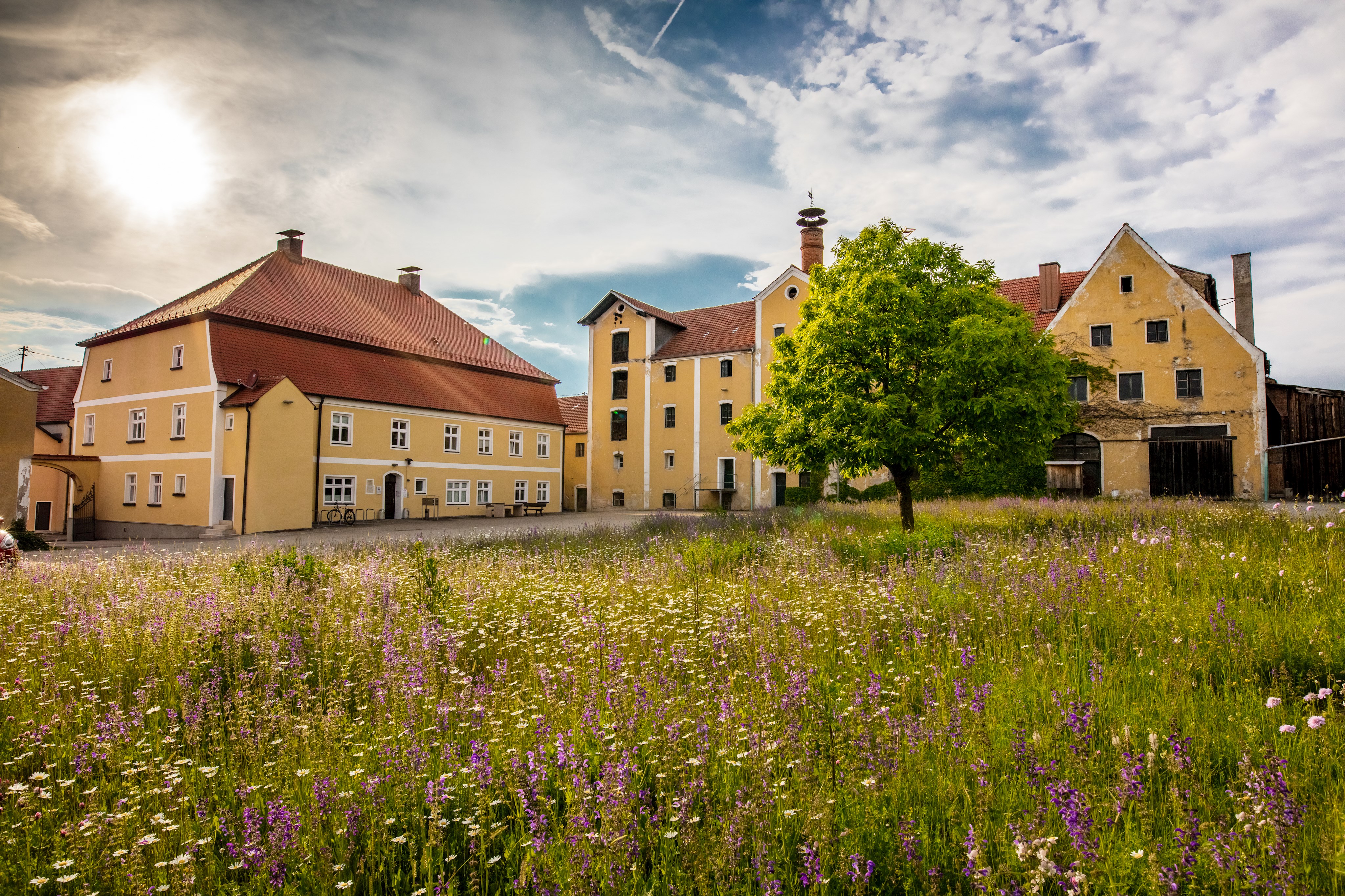 Carlshof mit Blumenwiese 2021