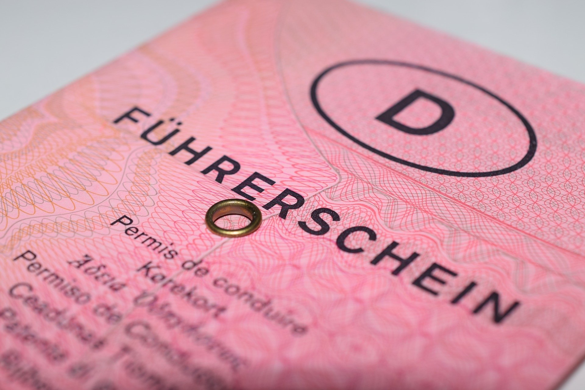 Fuehrerschein rosa