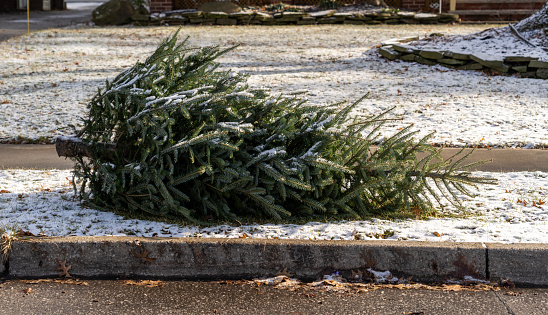 Christbaumsammlung am Dorfplatz am 13. und 14. Januar 2023