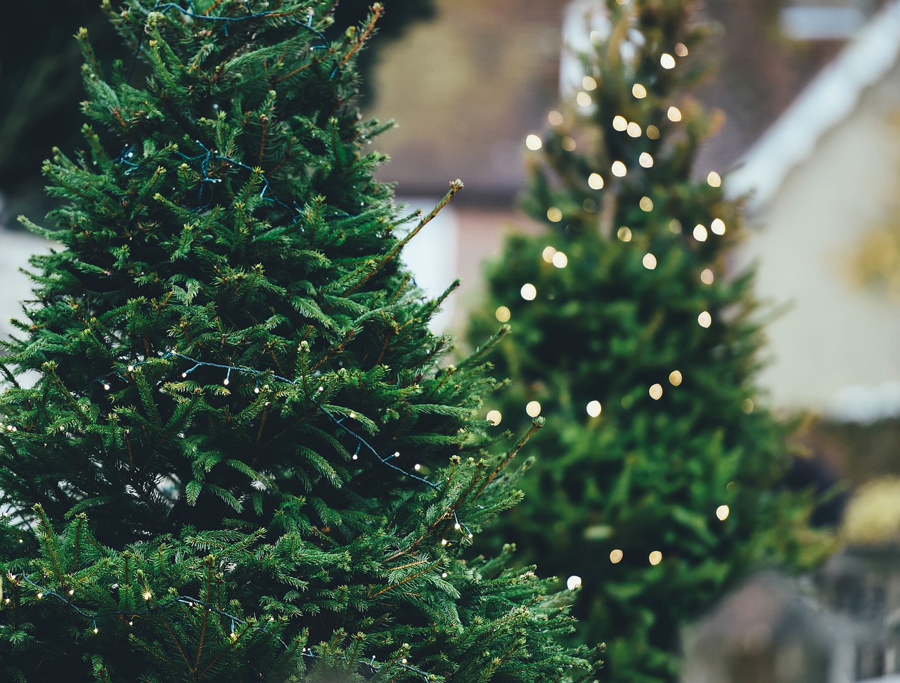 Christbaum